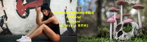 PSILOCYBIN Краснотурьинск