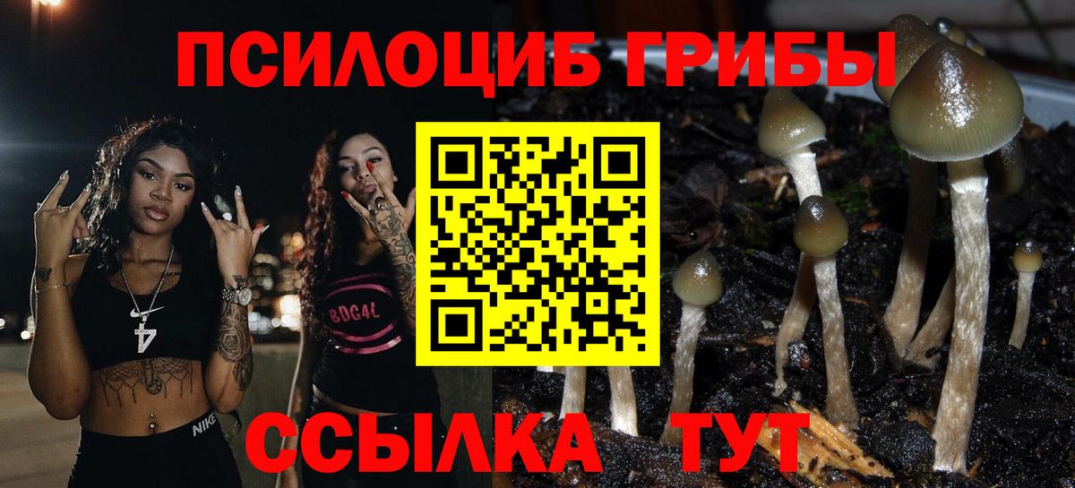 Псилоцибиновые грибы прущие грибы  Вход с VPN  Обь 