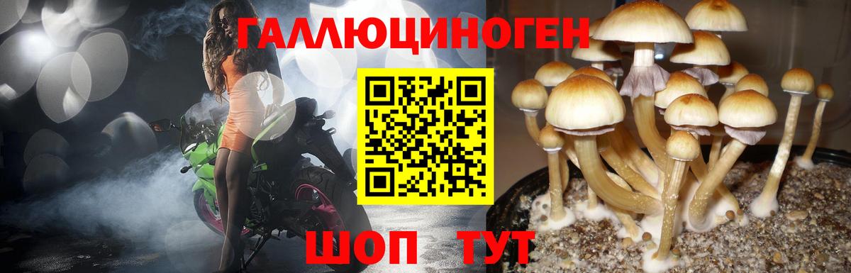 Псилоцибиновые грибы Cubensis  Вход с VPN  Обь  Галлюциногенные грибы ЛСД 
